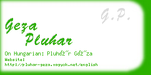 geza pluhar business card